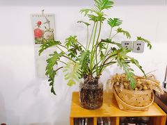 -灶咖KITCHEN