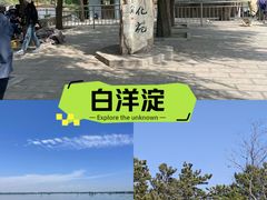 -白洋淀景区