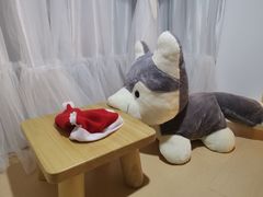 -Husky Go! 哈士奇体验馆·宠物咖啡厅狗咖