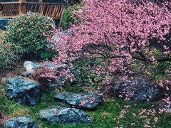-中国茶叶博物馆(双峰馆区)