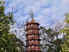 -大雁山风景区