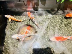 -0776食堂·京城创意菜(七里庄店)