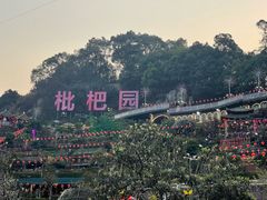 -枇杷园食为鲜火锅(南山店)