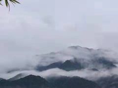 -杭州桐庐康莱德酒店西餐厅-舍