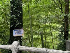 -雁荡山风景名胜区