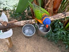 -南宫五洲植物乐园