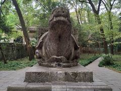 -灵谷景区