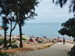 -广东惠东海龟国家级自然保护区