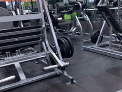 -健身专家Wellness Experts