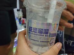 -TD66高山铁皮石斛养生茶饮