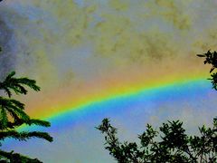 -阿萨巴斯卡瀑布观景点