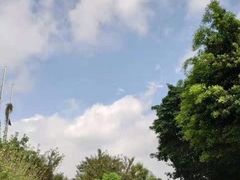 -重庆平顶山公园