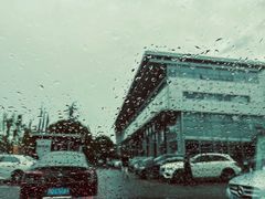 -奔驰上海利星(七宝店)