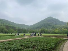 -八卦田遗址公园