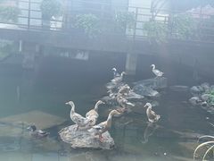 -上海怡沁园度假酒店