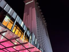 -新加坡乌节希尔顿酒店 (SG Clean)