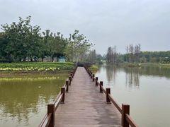 -森波拉奇妙世界