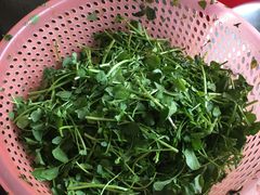 -乌桥老牌猪血汤