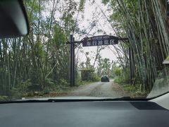 -海南热带野生动植物园