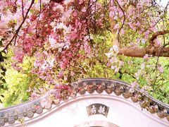 -深圳国际园林花卉博览园