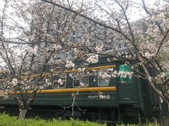 -新天地活力PARK