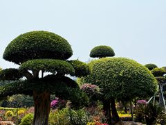 -南宁南湖公园