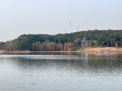 -海珠湖公园