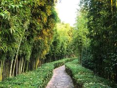 -天目湖涵田度假村