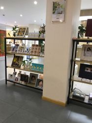 -芳妮豆丁家庭影像馆(宝安店)
