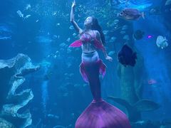 -多彩贵州城极地海洋世界