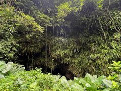 -海口火山口国家地质公园