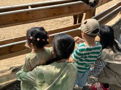 -HERRE·FARM 赫尔露营农场·团建聚会包场