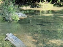 -千泷沟大瀑布旅游区
