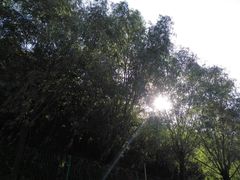 -沣峪口