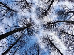 -硗碛藏寨·神木垒景区