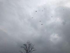 -滆湖低碳生态公园