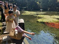 -水磨沟公园