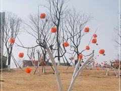 -府河摄影公园