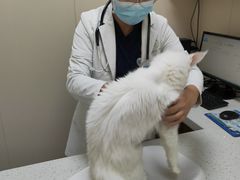 -美联众合爱康动物医院•复杂内科•肿瘤科•牙科•腔镜诊疗中心