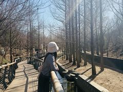 -白水寺森林公园