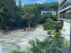 -汇华阁中餐厅·粤菜早茶(汇华希尔顿逸林酒店)