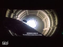 -SFC上影影城(北京大兴龙湖天街IMAX店)