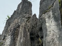 -泥凼石林风景区