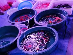 -中环花鸟鱼虫市场