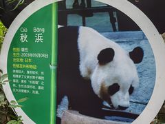 -深圳野生动物园