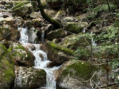 -驼梁风景区