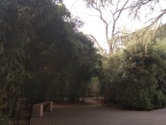-西苑公园