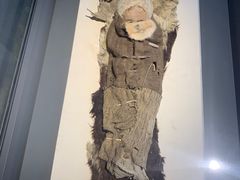 -巴音郭楞蒙古自治州博物馆