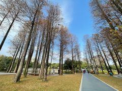 -四海公园(南山区)