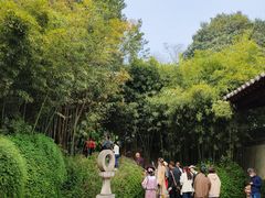 -西安青龙寺遗址景区